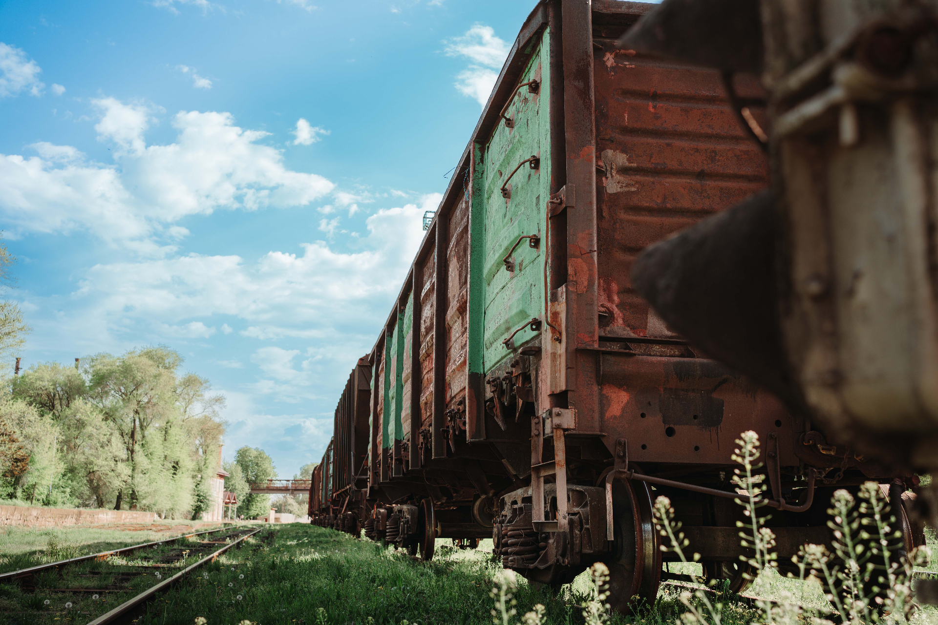 Cargo, Verdigris