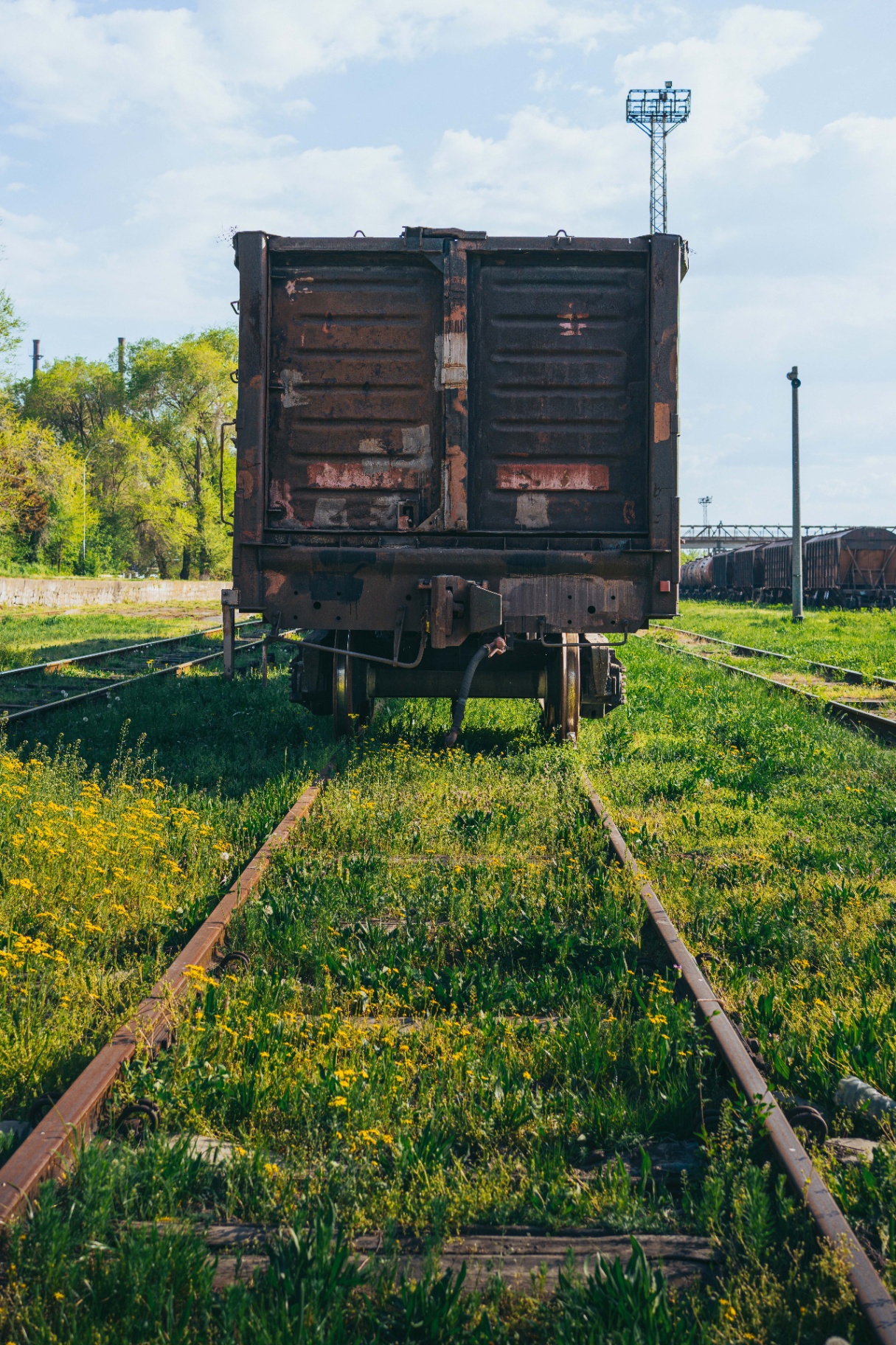 End of the Line, in Bloom